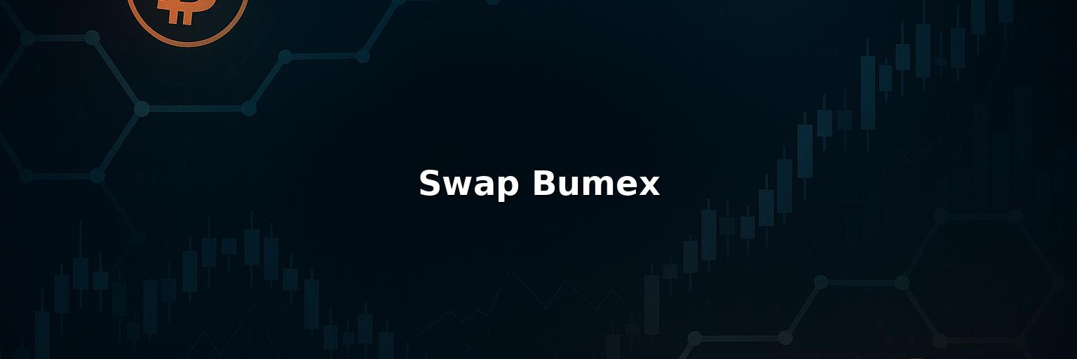 Swap Bumex Review: Pros And Cons of Working