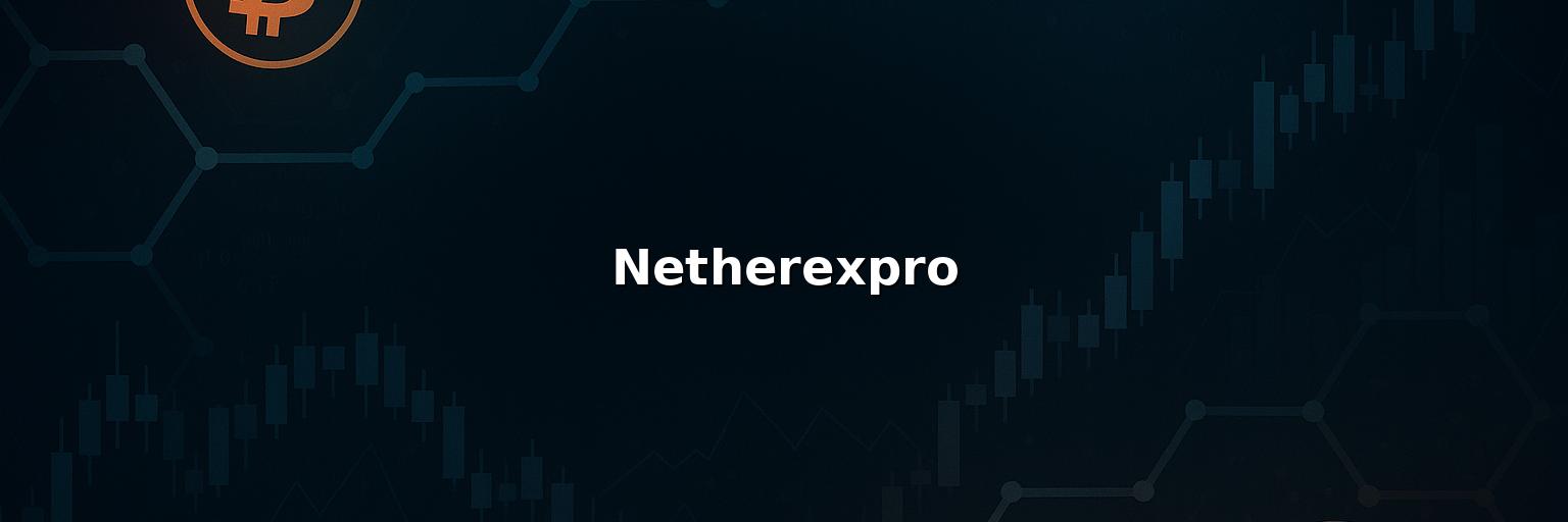 Netherexpro Reviews: Pros And Cons of Working