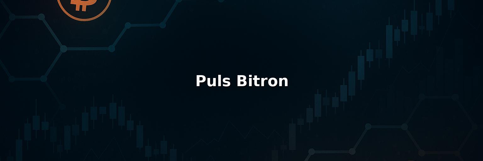 Puls Bitron Review 2025 – Is it Scam or Legit?